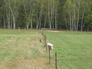 mfai-csp-field-day Birdhouses on CSP land at Lester Henry's Jersey Acres Farm in Wisconsin.